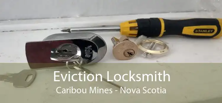 Eviction Locksmith Caribou Mines - Nova Scotia