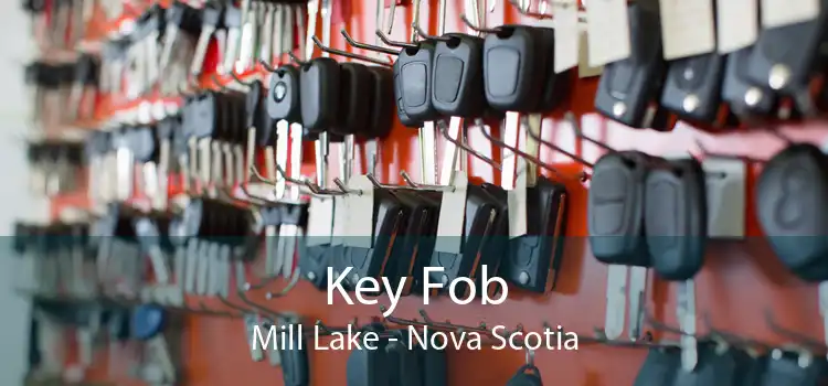 Key Fob Mill Lake - Nova Scotia