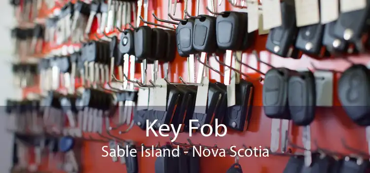 Key Fob Sable Island - Nova Scotia