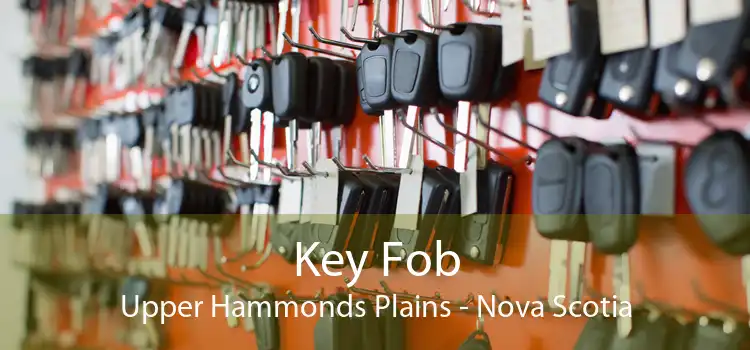 Key Fob Upper Hammonds Plains - Nova Scotia