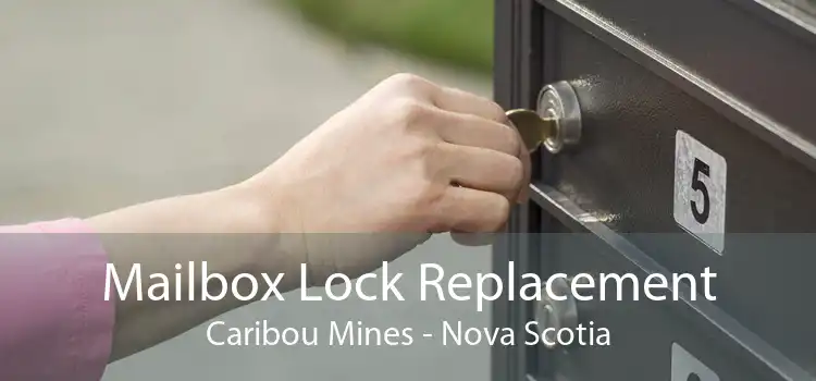 Mailbox Lock Replacement Caribou Mines - Nova Scotia