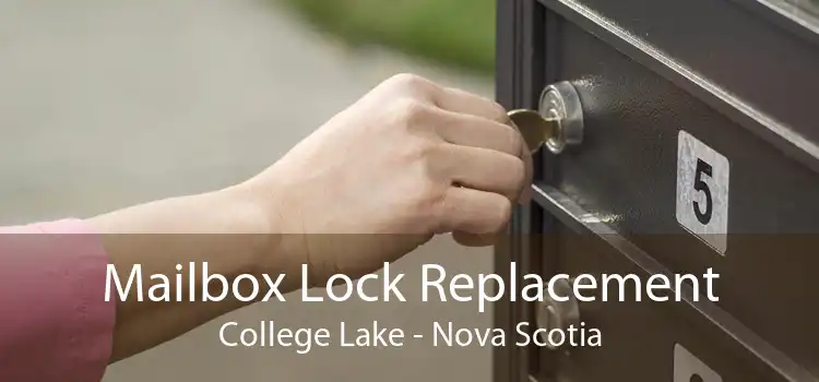 Mailbox Lock Replacement College Lake - Nova Scotia