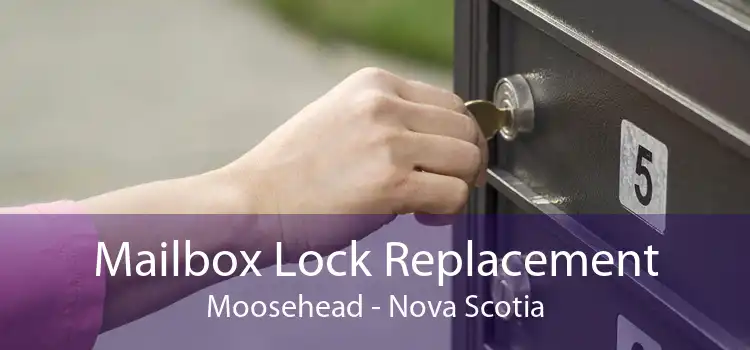 Mailbox Lock Replacement Moosehead - Nova Scotia