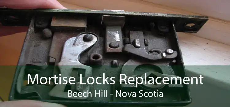 Mortise Locks Replacement Beech Hill - Nova Scotia