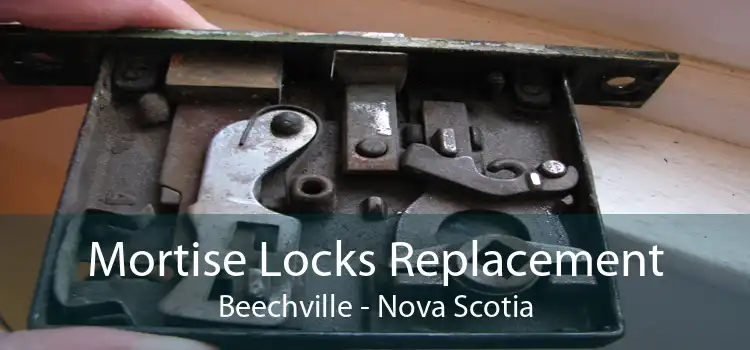 Mortise Locks Replacement Beechville - Nova Scotia