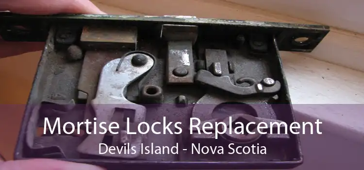 Mortise Locks Replacement Devils Island - Nova Scotia