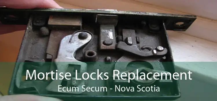 Mortise Locks Replacement Ecum Secum - Nova Scotia