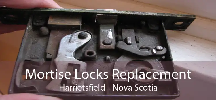 Mortise Locks Replacement Harrietsfield - Nova Scotia