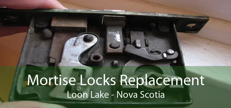 Mortise Locks Replacement Loon Lake - Nova Scotia