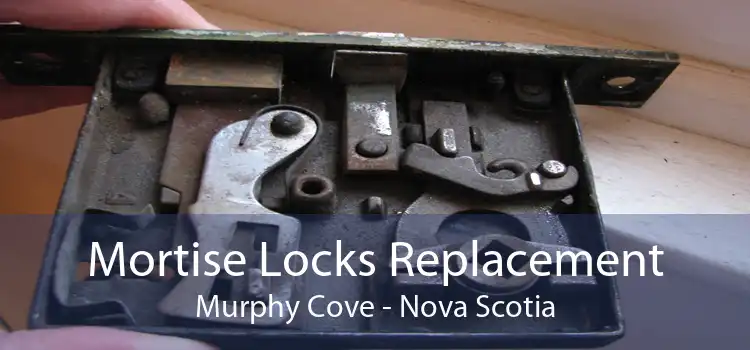 Mortise Locks Replacement Murphy Cove - Nova Scotia