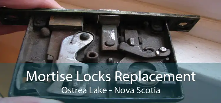 Mortise Locks Replacement Ostrea Lake - Nova Scotia