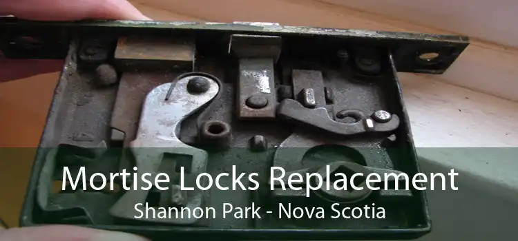 Mortise Locks Replacement Shannon Park - Nova Scotia