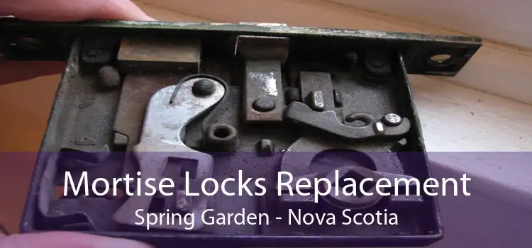 Mortise Locks Replacement Spring Garden - Nova Scotia