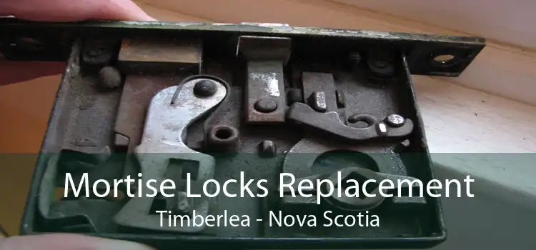 Mortise Locks Replacement Timberlea - Nova Scotia