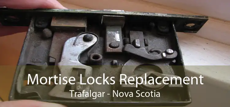 Mortise Locks Replacement Trafalgar - Nova Scotia