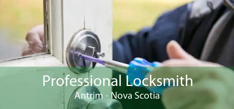 Professional Locksmith Antrim - Nova Scotia