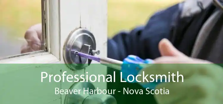 Professional Locksmith Beaver Harbour - Nova Scotia