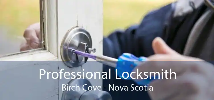 Professional Locksmith Birch Cove - Nova Scotia