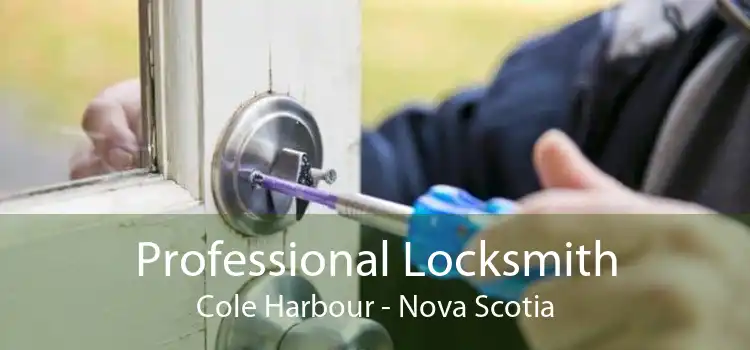Professional Locksmith Cole Harbour - Nova Scotia