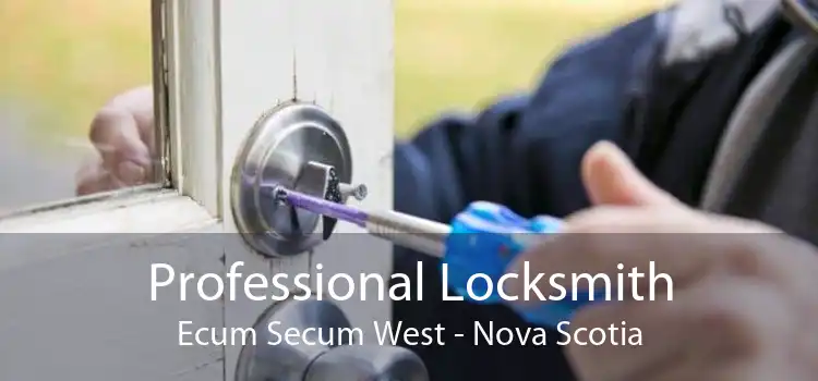 Professional Locksmith Ecum Secum West - Nova Scotia