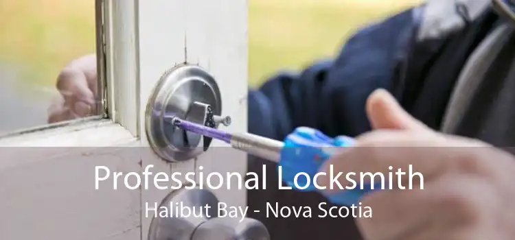 Professional Locksmith Halibut Bay - Nova Scotia