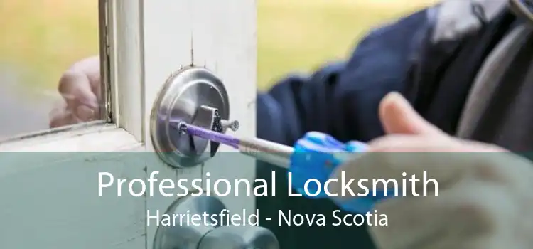 Professional Locksmith Harrietsfield - Nova Scotia
