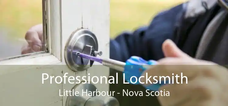 Professional Locksmith Little Harbour - Nova Scotia