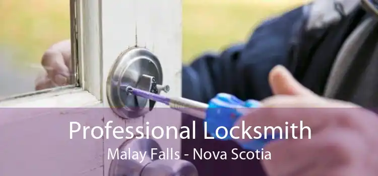 Professional Locksmith Malay Falls - Nova Scotia