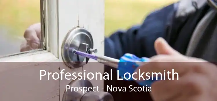 Professional Locksmith Prospect - Nova Scotia