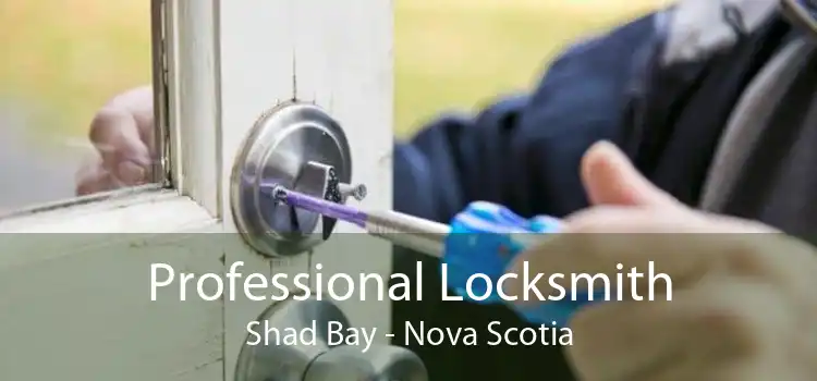 Professional Locksmith Shad Bay - Nova Scotia