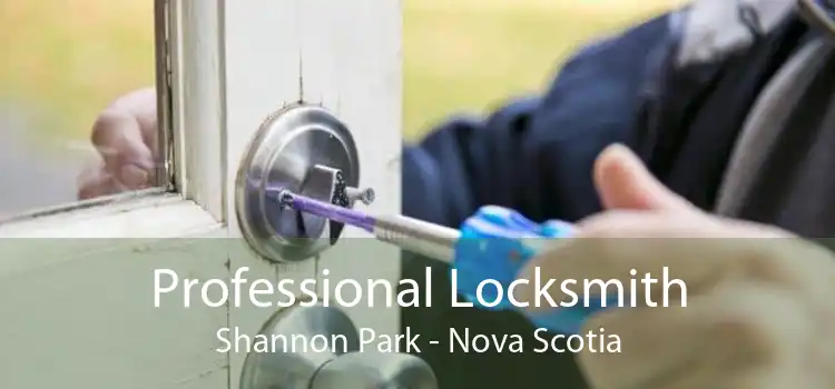 Professional Locksmith Shannon Park - Nova Scotia