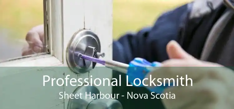 Professional Locksmith Sheet Harbour - Nova Scotia