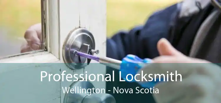 Professional Locksmith Wellington - Nova Scotia