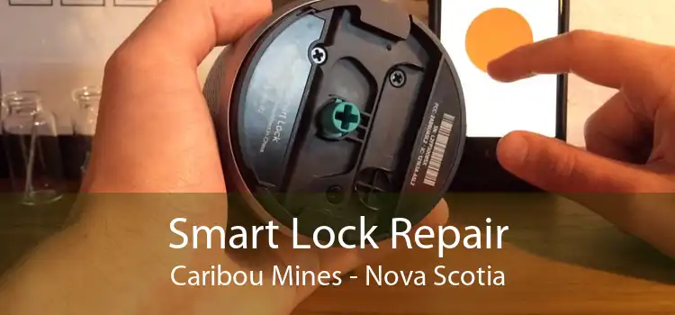 Smart Lock Repair Caribou Mines - Nova Scotia