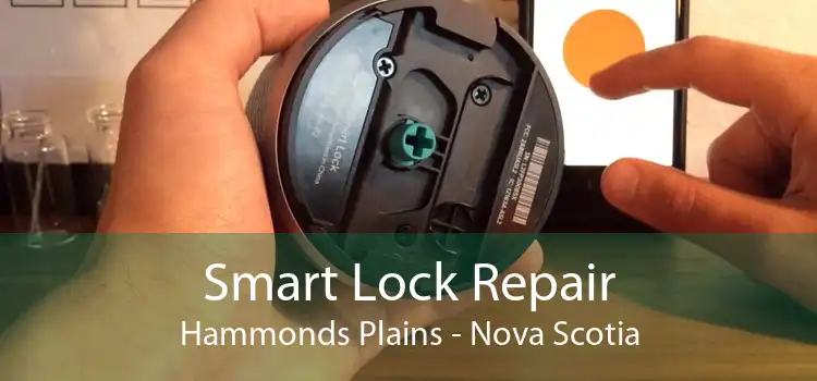 Smart Lock Repair Hammonds Plains - Nova Scotia