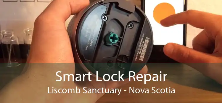 Smart Lock Repair Liscomb Sanctuary - Nova Scotia
