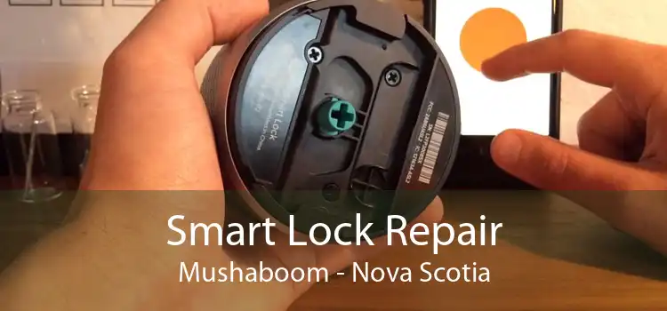 Smart Lock Repair Mushaboom - Nova Scotia