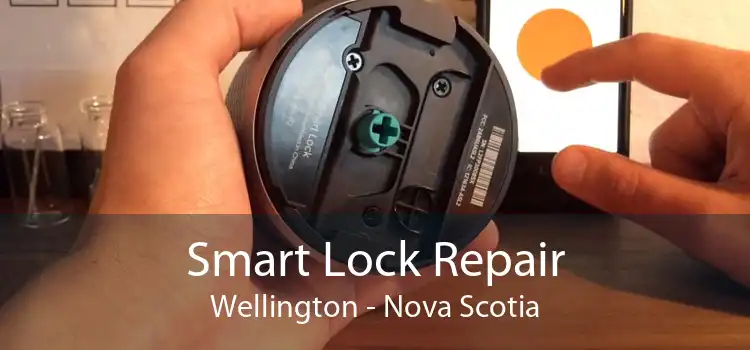 Smart Lock Repair Wellington - Nova Scotia