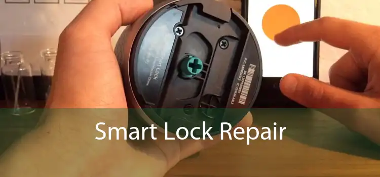 Smart Lock Repair